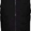 Selected Homme Bodywarmers Bodywarmer Katso Heren Zwart -Jack & Jones Winkel 34bd6dd3c716086a64c3c0e922ed2393