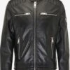 CARLO COLUCCI Leren Jassen Tussenjas Bento Heren Zwart -Jack & Jones Winkel c9e8cd5c0081c42321d6389ed5ef4a37