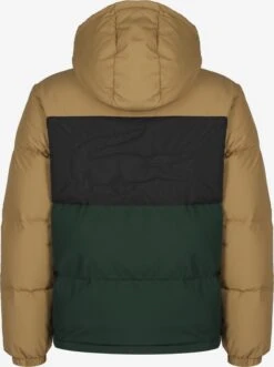 Lacoste Winterjassen Winterjas Heren Gemengde Kleuren -Jack & Jones Winkel cb94f1cfc8289c2ffa435f8d85055aac