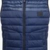 BOSS ORANGE Bodywarmers Bodywarmer Odunk Heren Marine / Nachtblauw